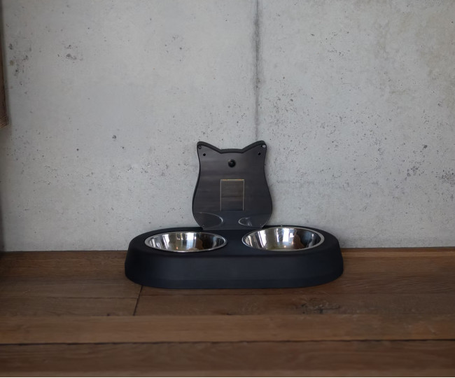 Станция оценки состояния кота: AI Tails